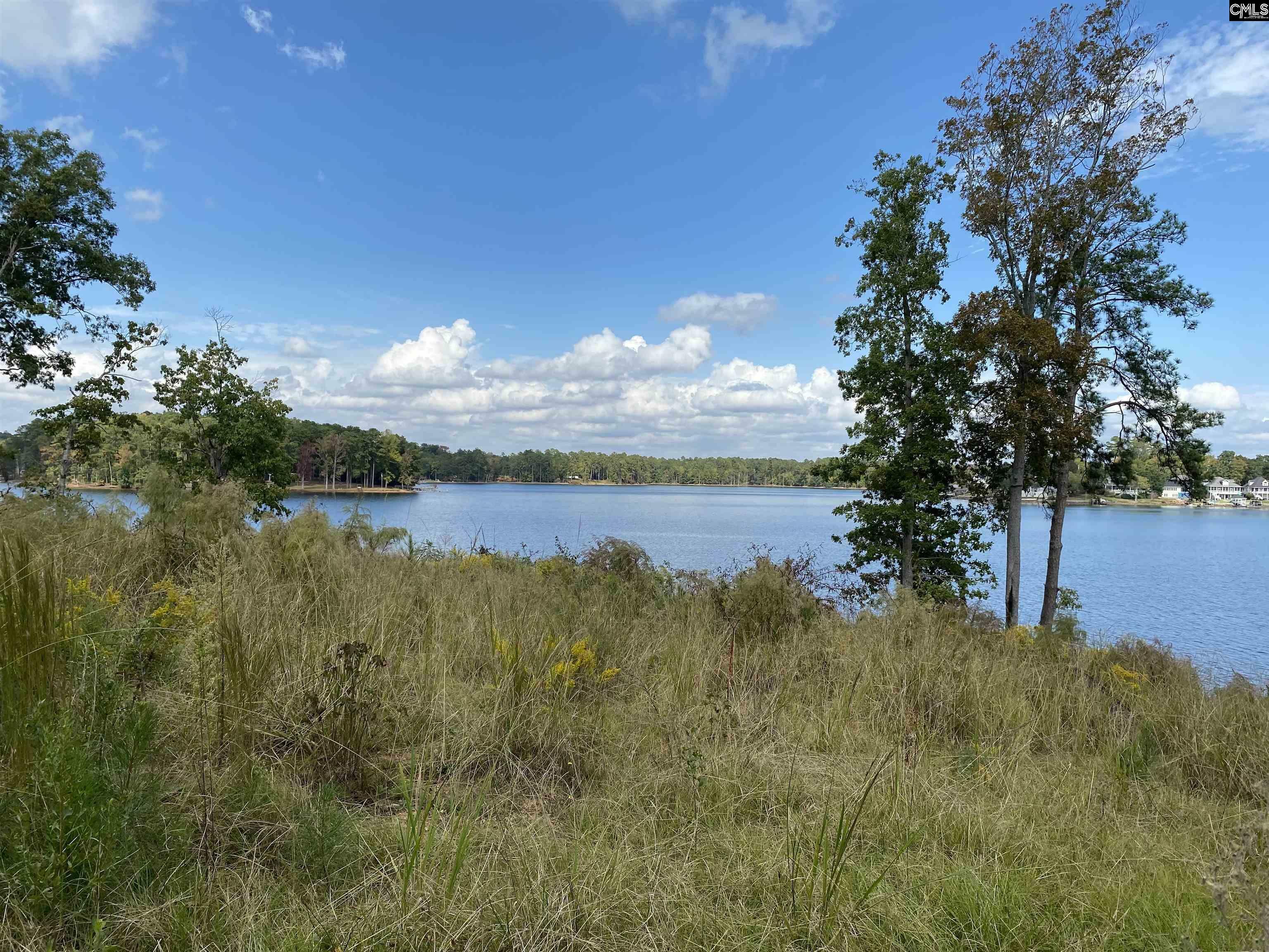 Property Photo:  181 Lookout Point  SC 29070 