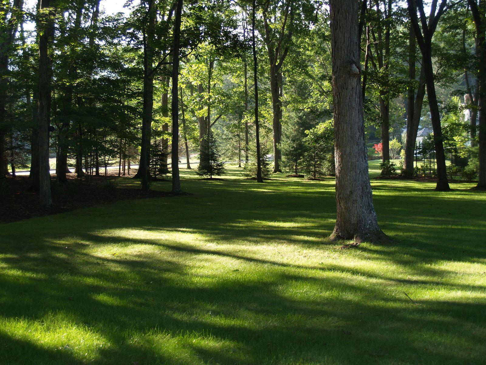 Property Photo:  199 Village Run Rd. Vrr 199  WV 24986 