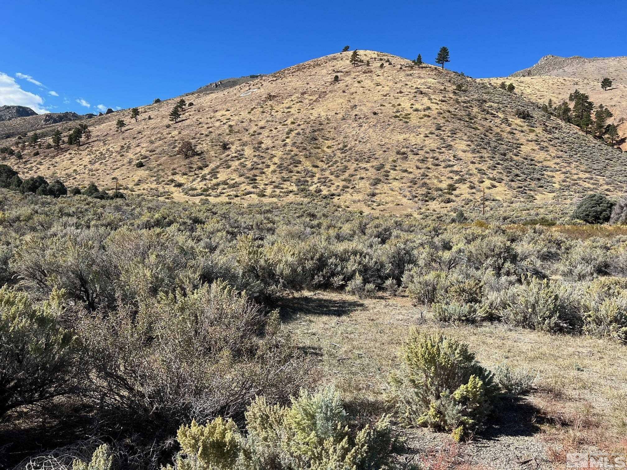 Property Photo: 0 Highway 395 CA 96107