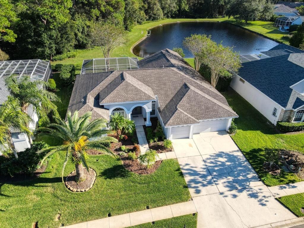 Property Photo:  4040 Ligustrum Drive  FL 34685 