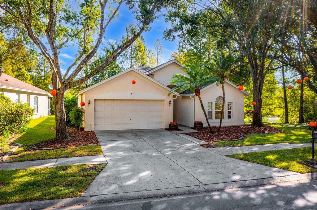 Property Photo:  12010 Oaksbury Drive  FL 33626 