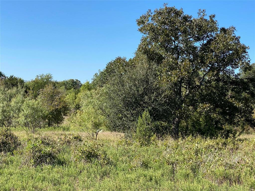 Property Photo:  Tbd Pr 1472 Tract B  TX 76457 