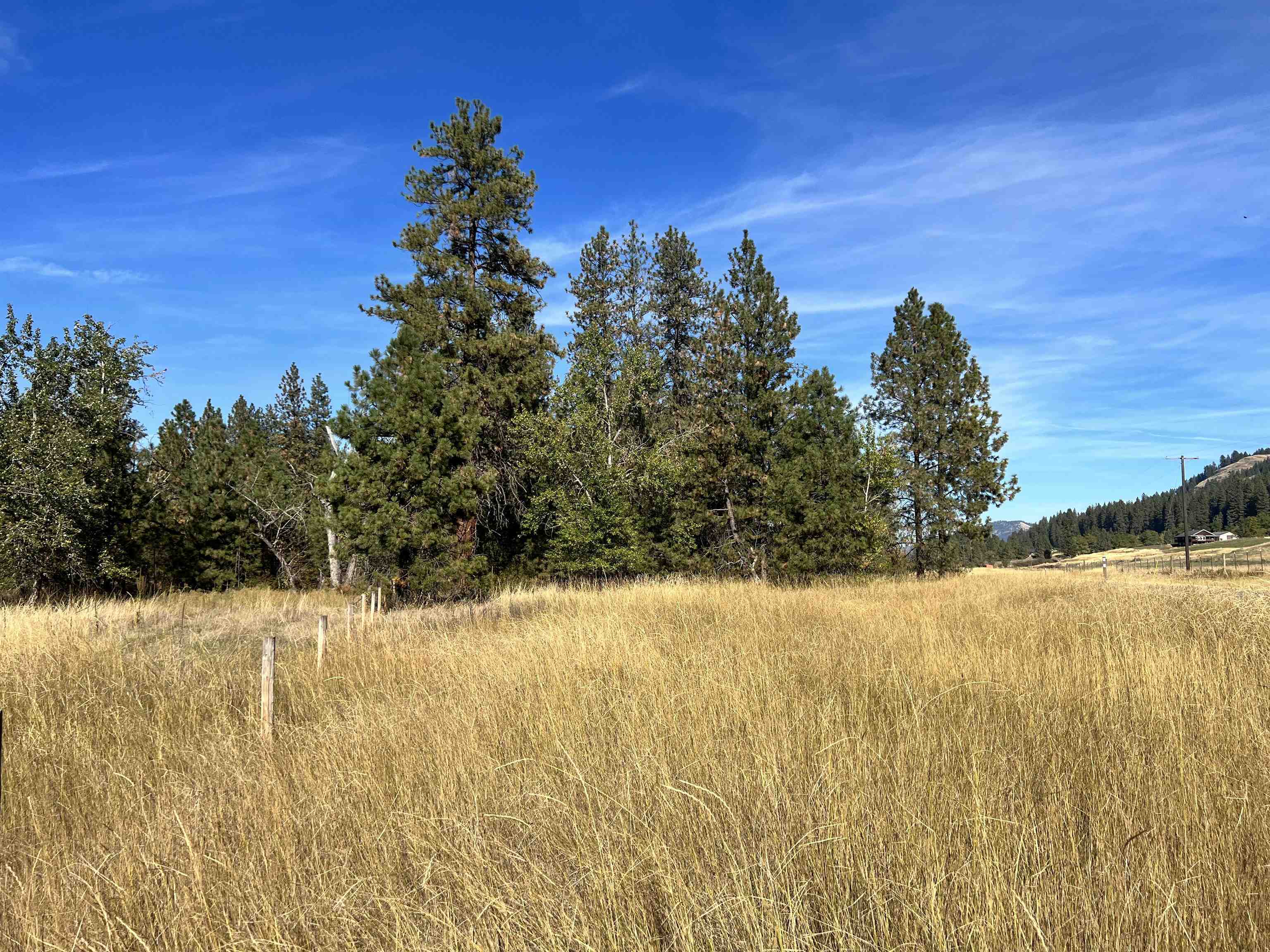 Property Photo:  15xx Highway 25 S  WA 99141 