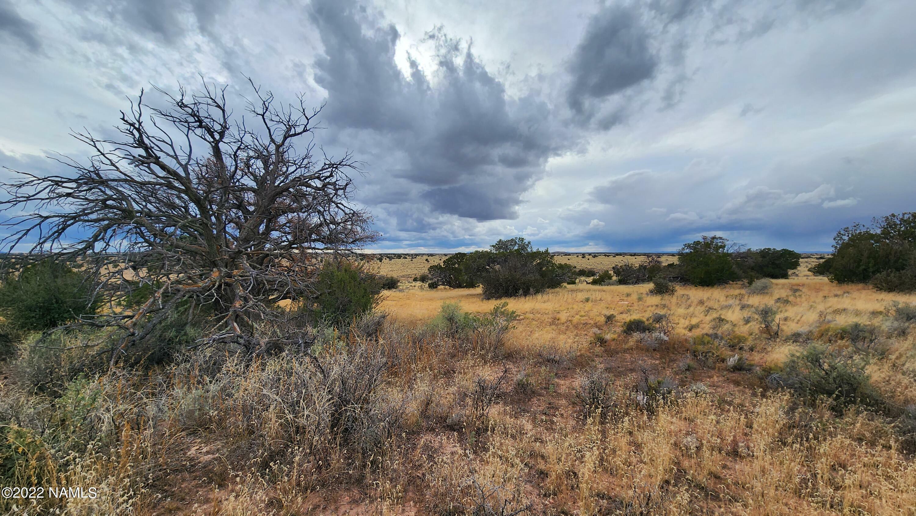 Property Photo:  5184&Amp8381 S Starlit Trl &Amp W Shingle Oak  AZ 86046 