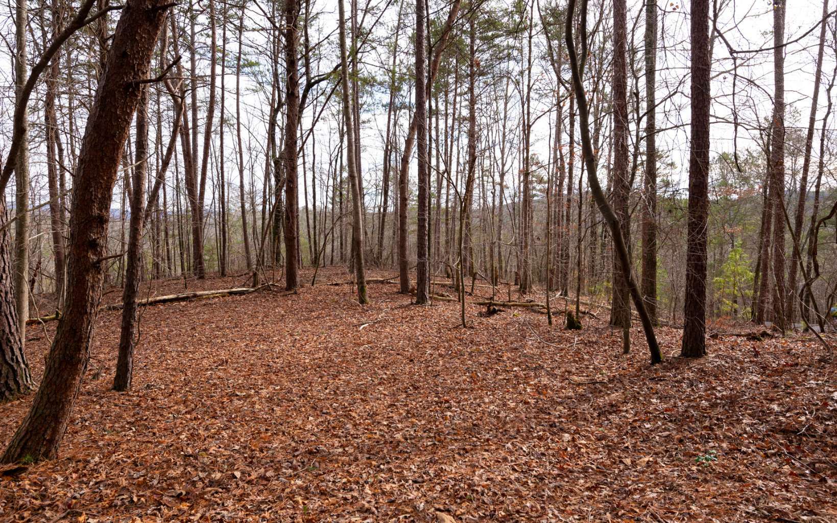 Property Photo:  96/97 Mountain Creek Hollow Drive  GA 30175 