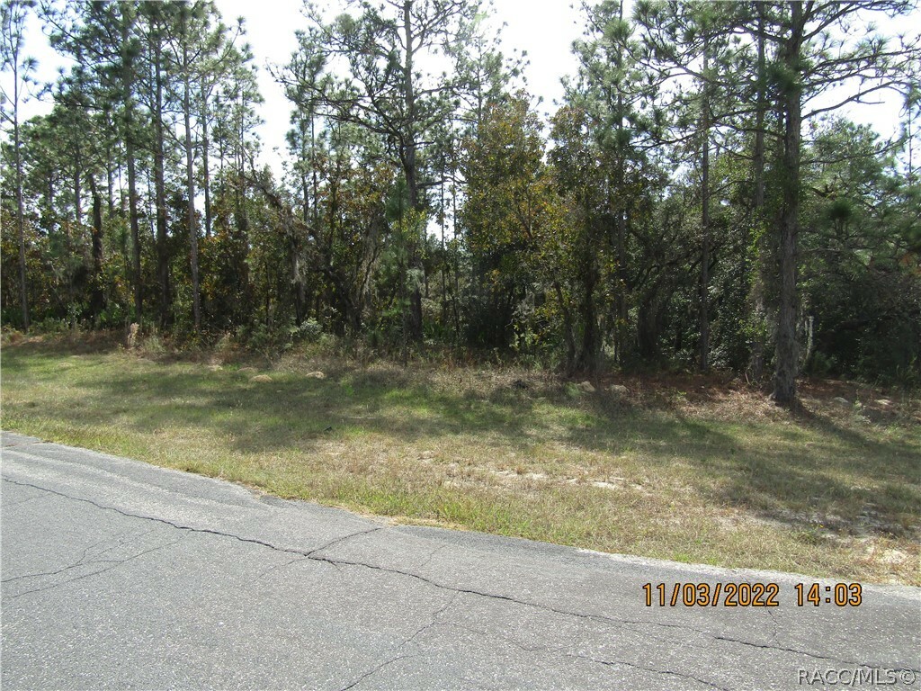 Property Photo:  3238 N Sheriff Drive  FL 34465 