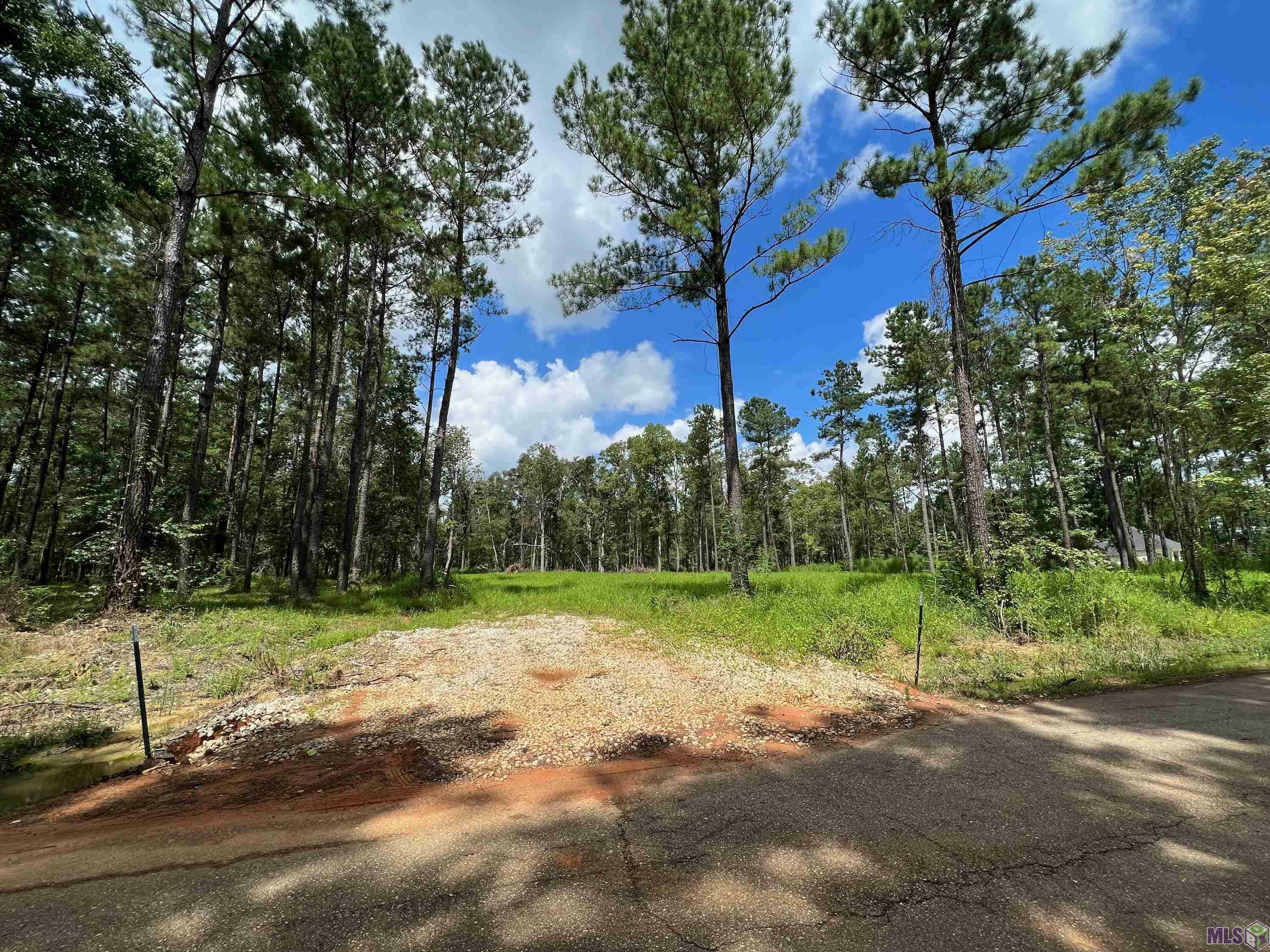 Property Photo: Lot 10A Clyde Blount Rd LA 70754