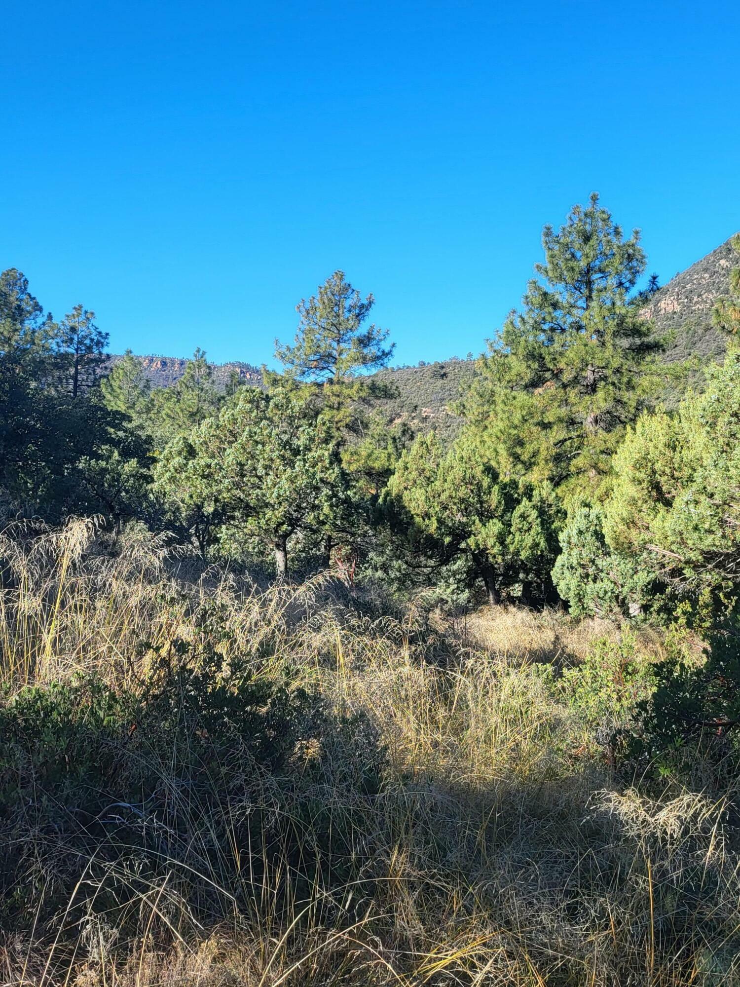 Property Photo:  Lot 163 Portal Drive  AZ 85544 