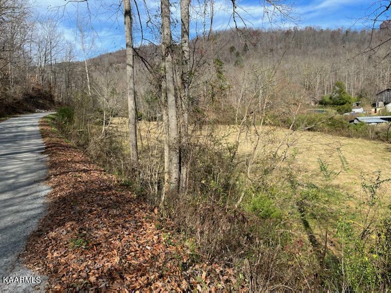 Property Photo:  Little Elk Creek Rd  TN 37847 