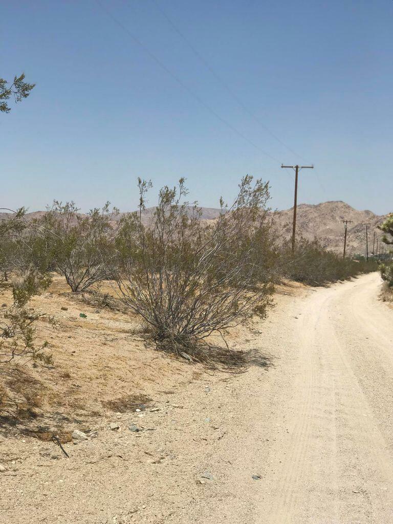 Property Photo:  Buena Vista Road  CA 92356 