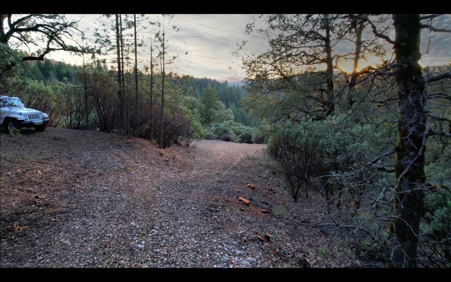 13162 Manion Canyon Road  Grass Valley CA 95945 photo
