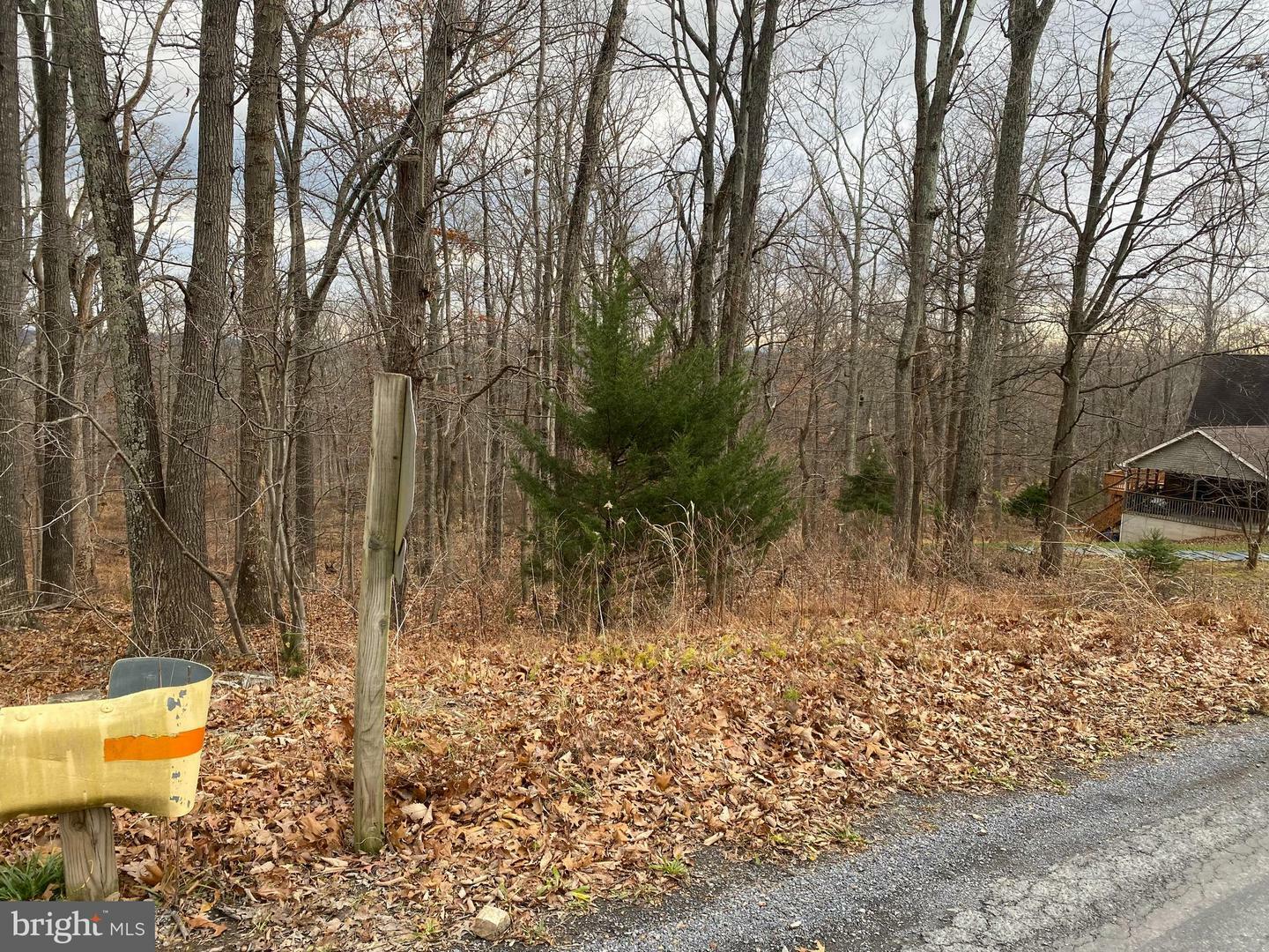 Property Photo:  Lot 14 Fawn Dr  VA 22602 