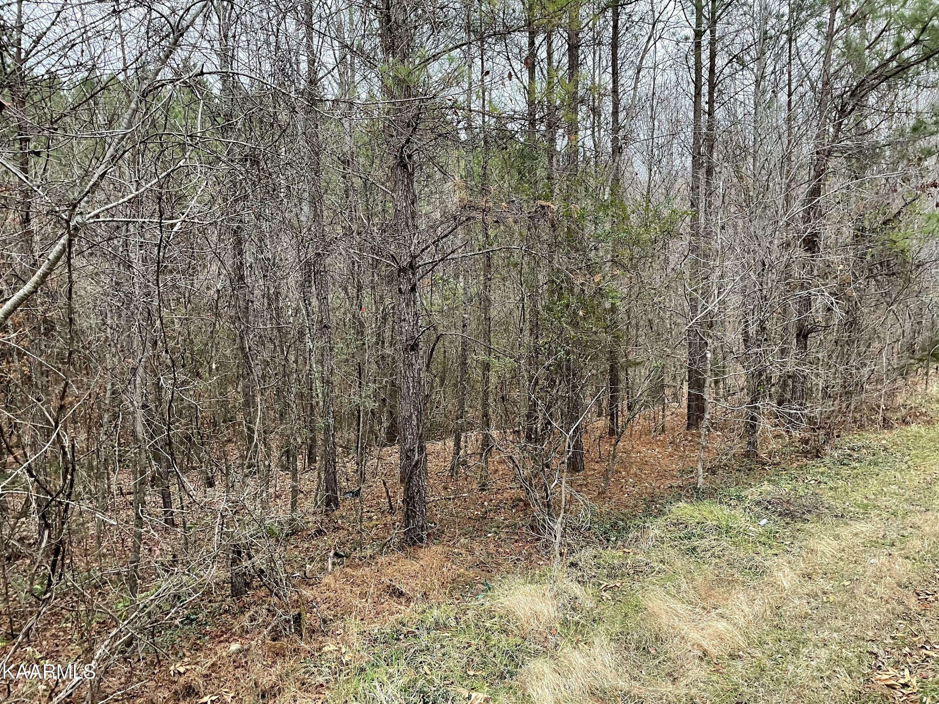 Property Photo:  947 Rayl Hollow Rd  TN 37322 