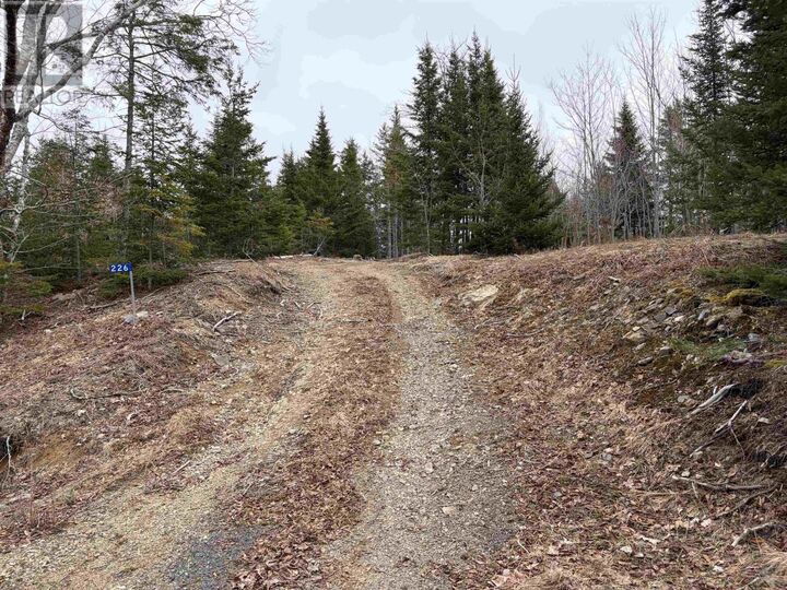 Property Photo:  Lot 22-3 226 Brookville Branch Road  NS B2H 5C7 