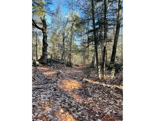 Property Photo:  0 West State Rd - Lot 1  MA 01431 