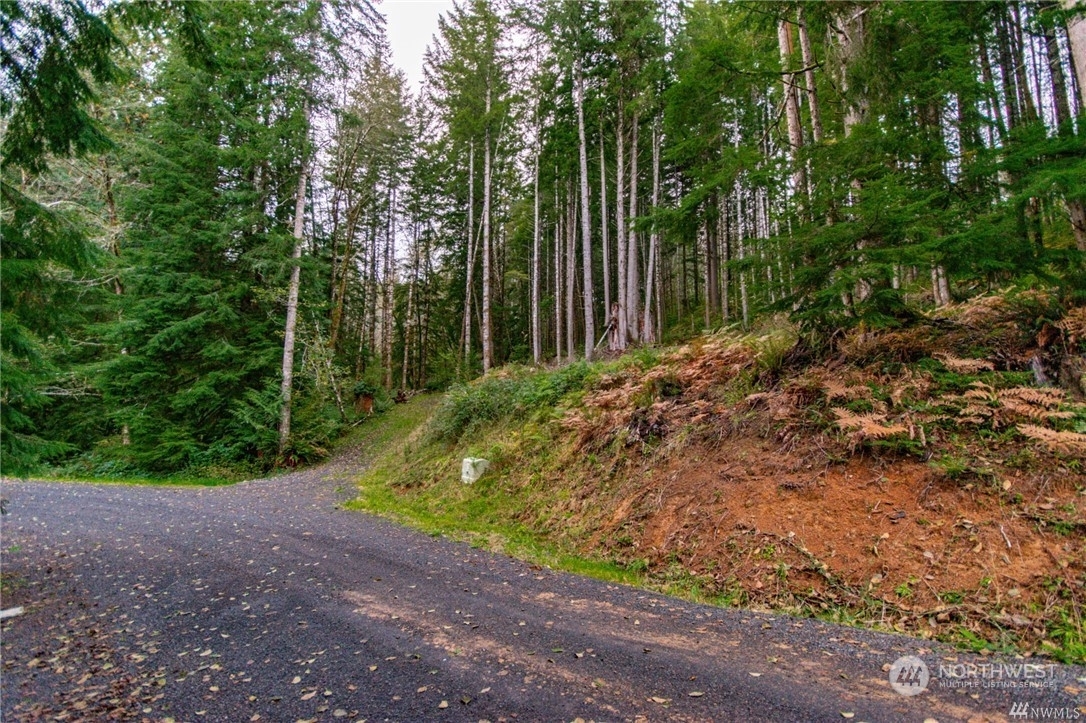 Property Photo: 144 Bison Run WA 98632
