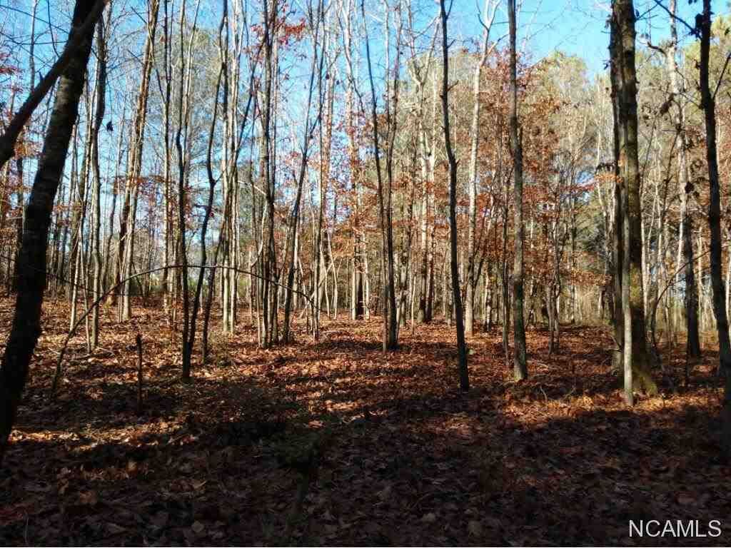 Property Photo:  0 Co Rd 1430  AL 35179 - VINEMONT 