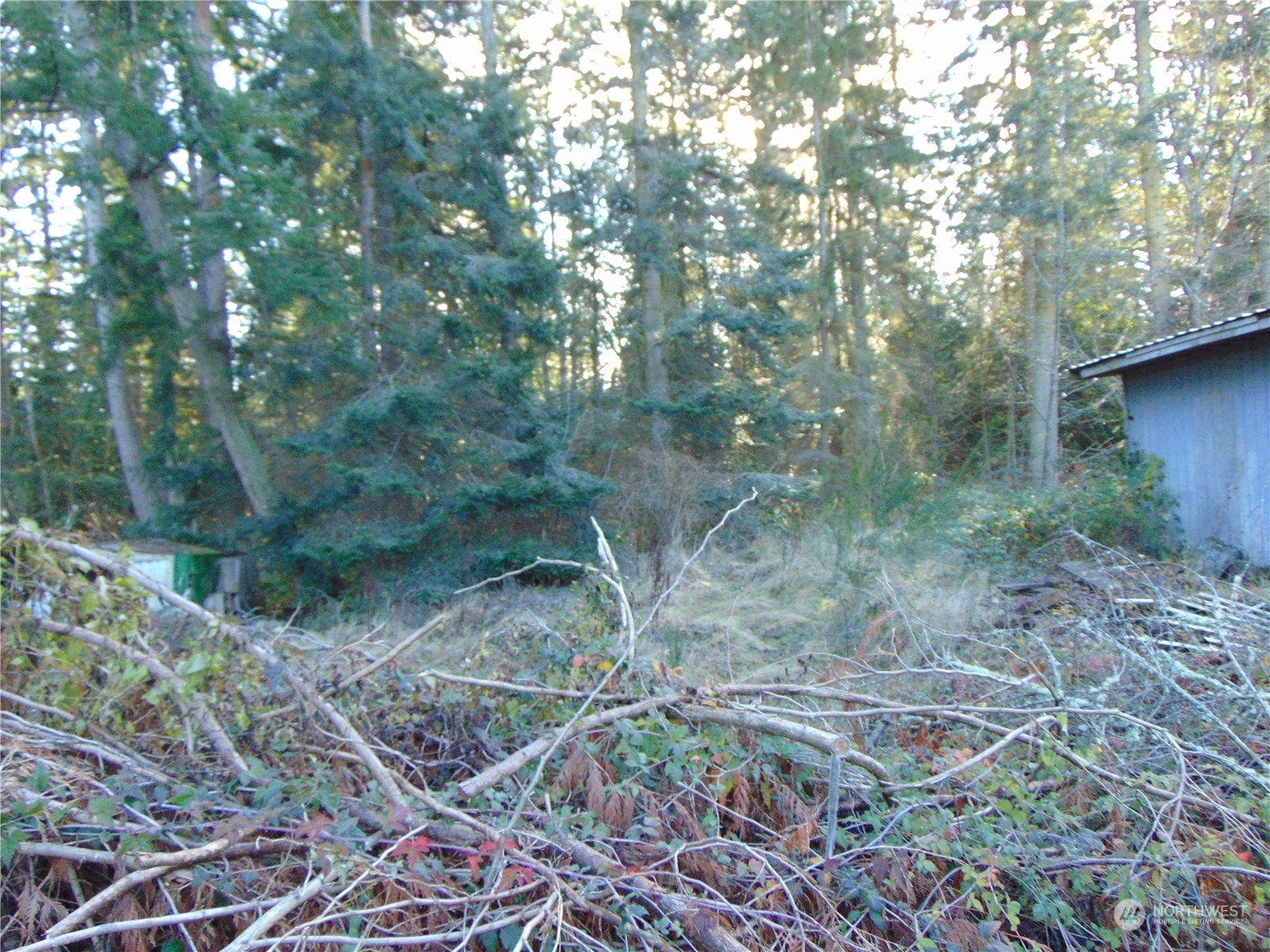 Property Photo:  0 Lot 4 Hemlock Drive  WA 98282 