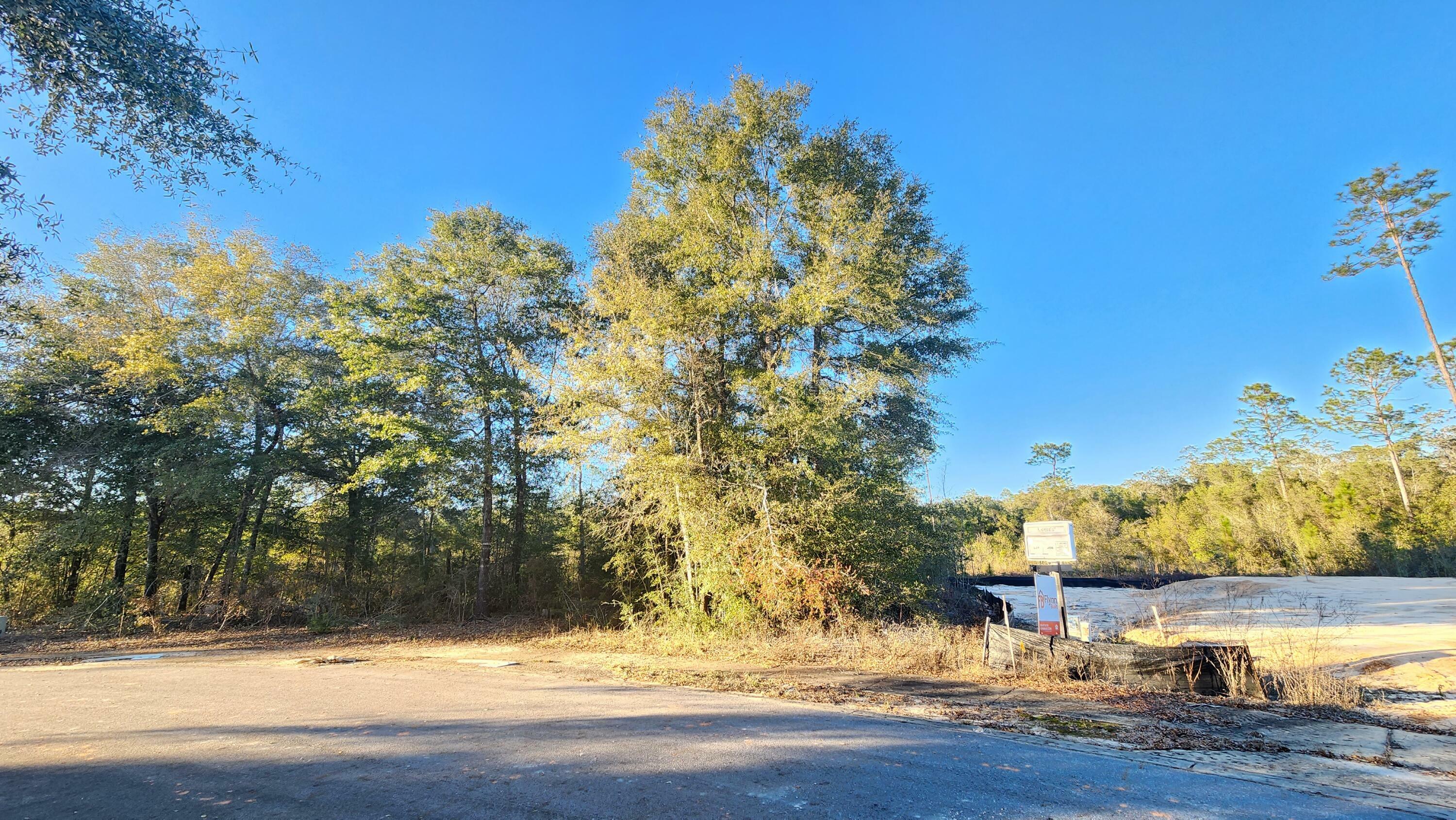 Property Photo:  Lot 10 Pfitzer Court  FL 32433 