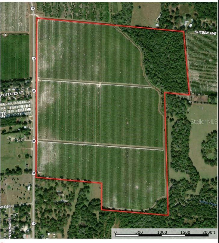 Property Photo:  SE Hwy 31  FL 34266 