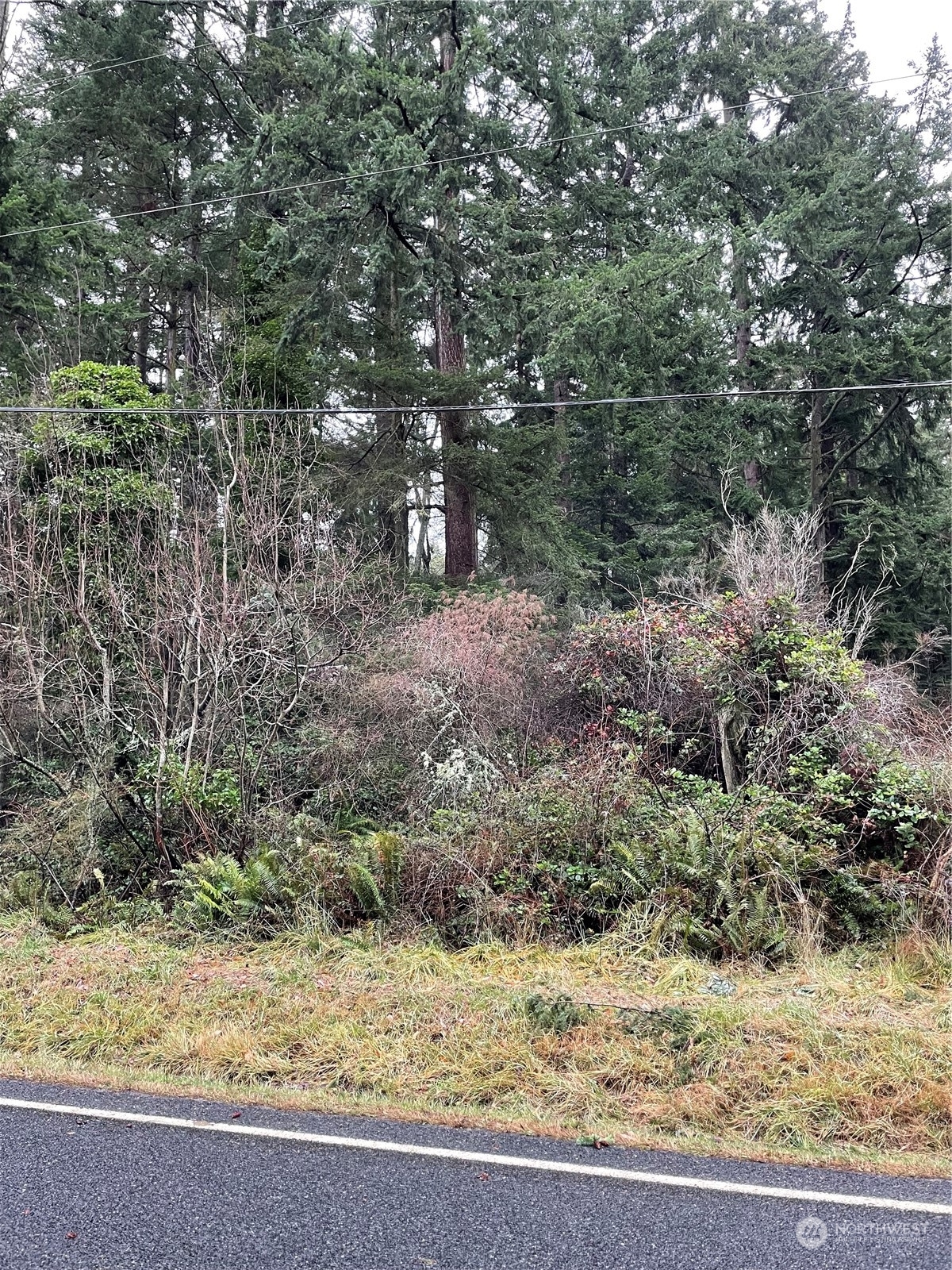 Property Photo:  0 Xxx East Harbor Road  WA 98260 