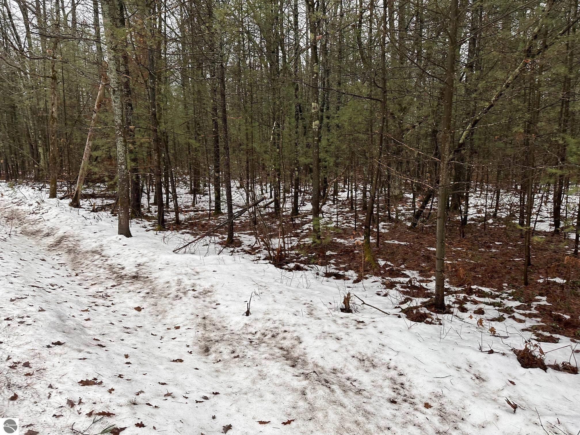 Property Photo:  #C Albrecht  MI 49643 