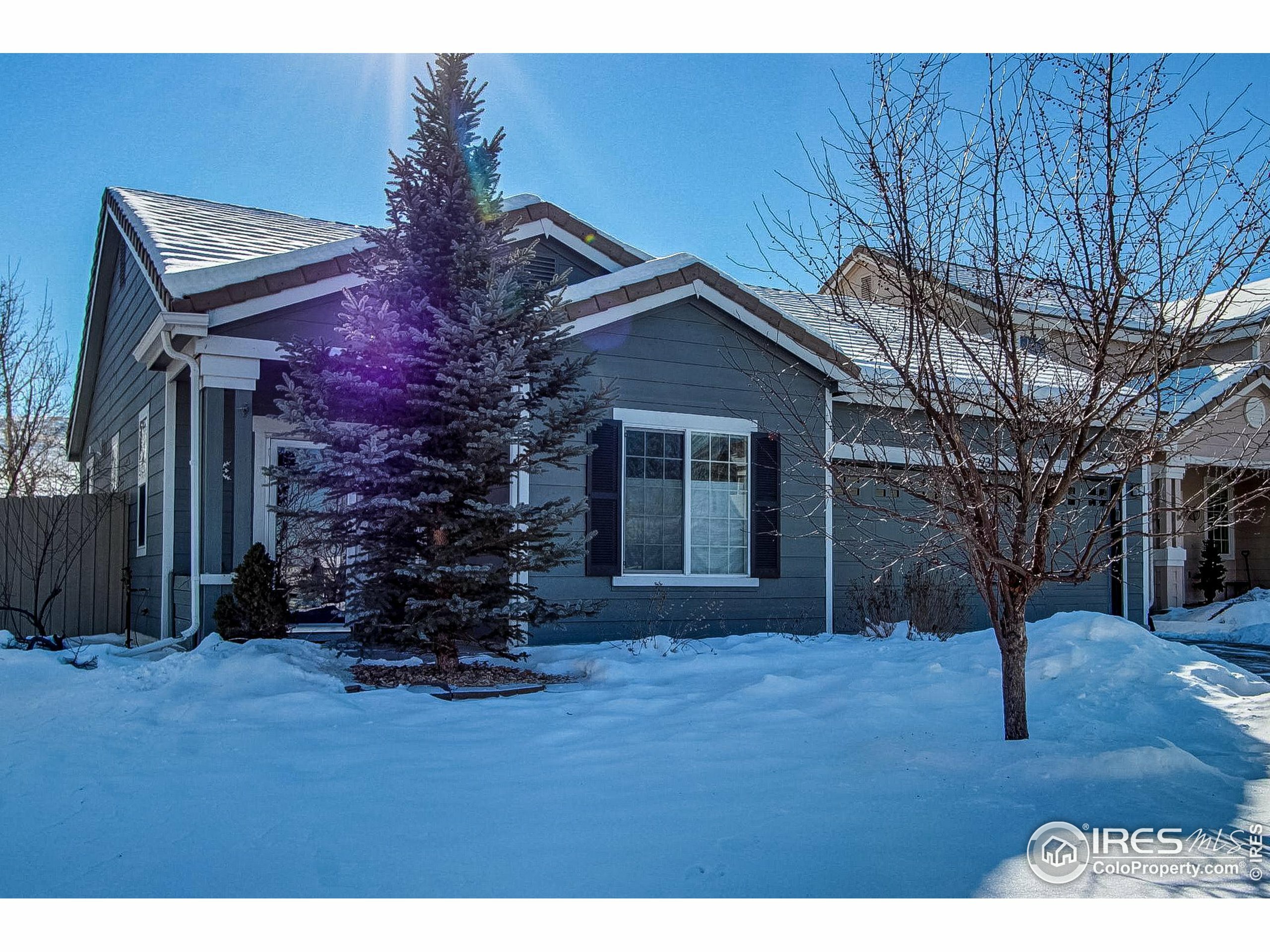 Property Photo:  938 Maroon Peak Dr  CO 80027 