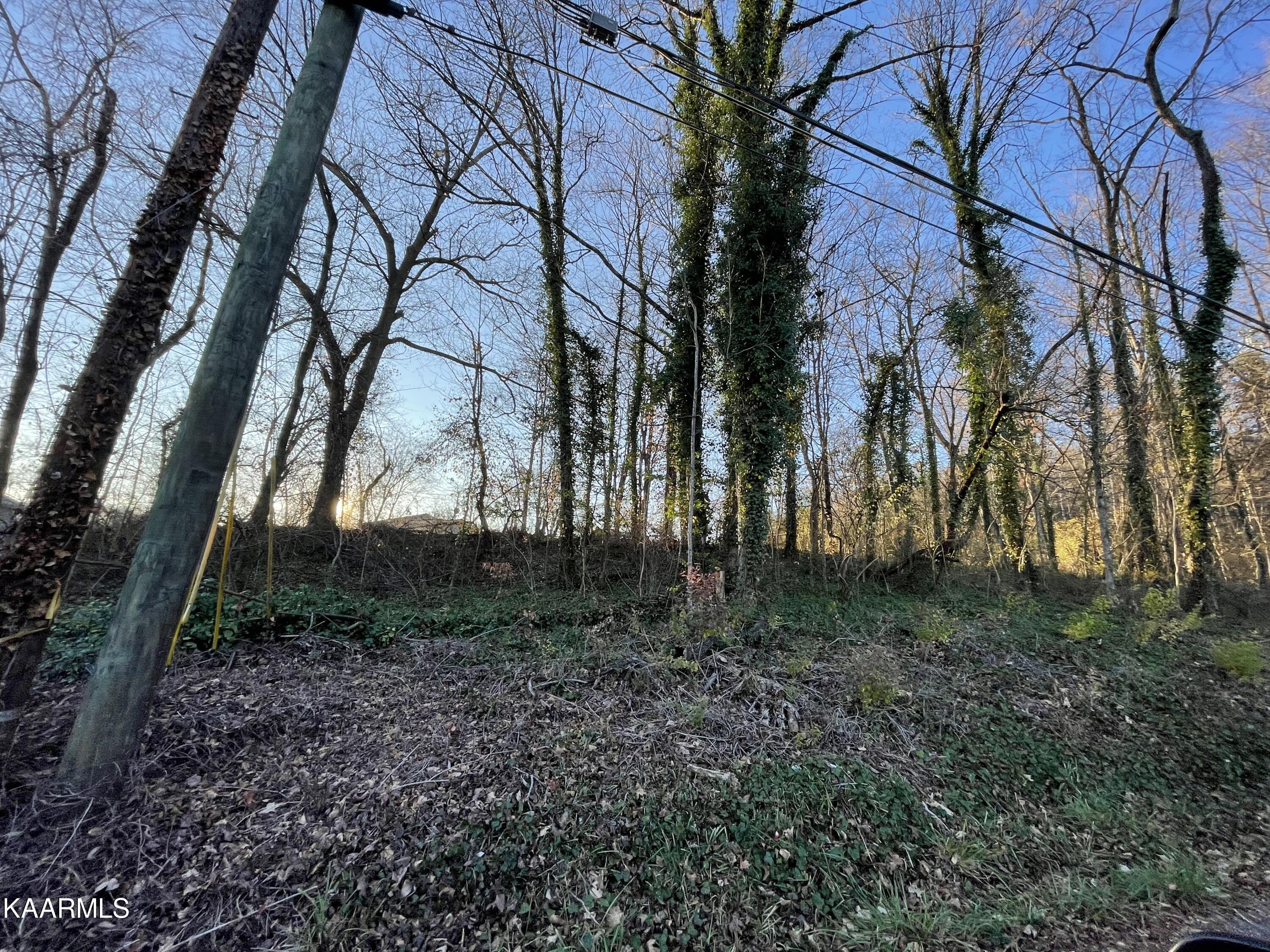 Property Photo: 0 Greenway Drive TN 37918