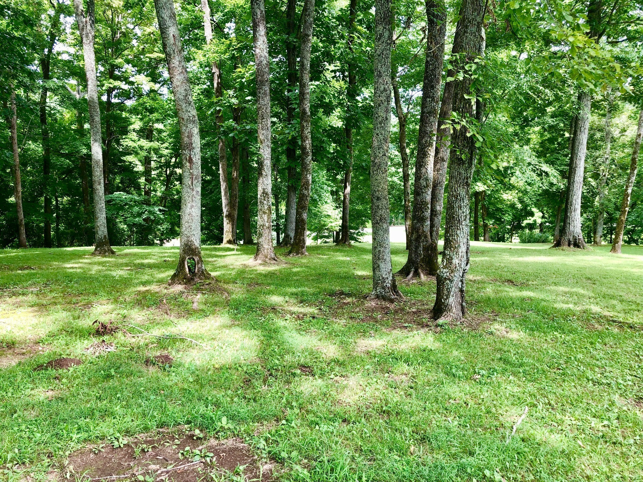 Property Photo:  0 Sulphur College Rd Tract 21  TN 37074 