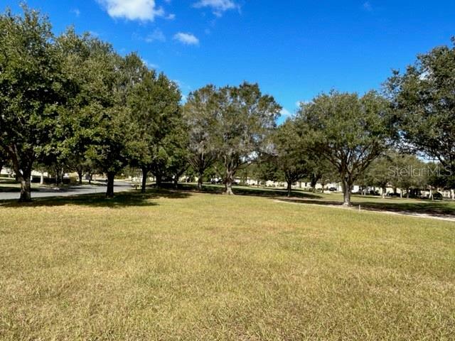 Property Photo:  26236 Avenida Las Colinas  FL 34737 