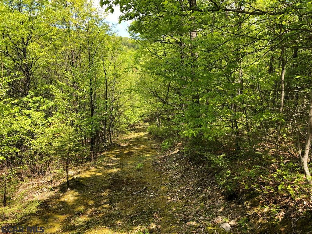 Property Photo:  700-750 Gypsy Camp Hollow Rd  PA 16686 