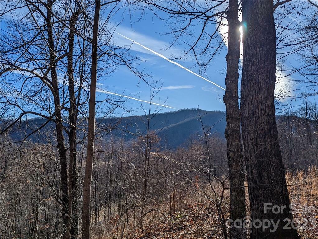 351 Kestrel Lane T-67  Black Mountain NC 28711 photo