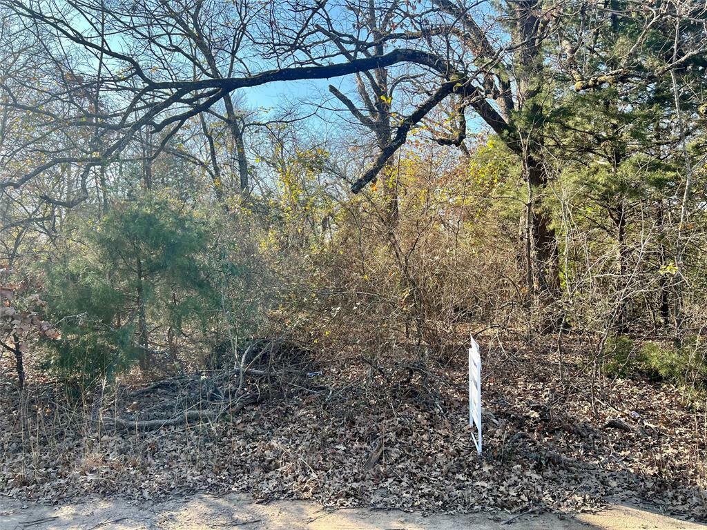 Property Photo:  121 Coahoma Street  TX 75156 