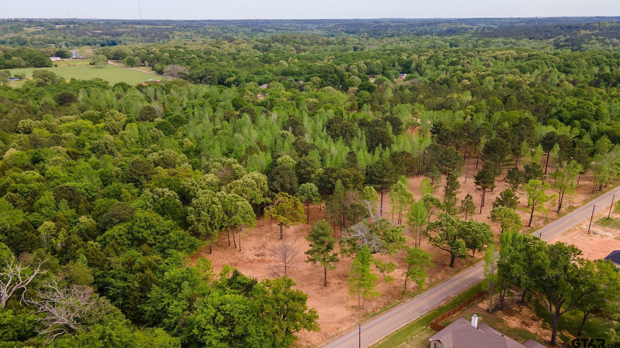 Property Photo:  17420 County Road 479  TX 75771 