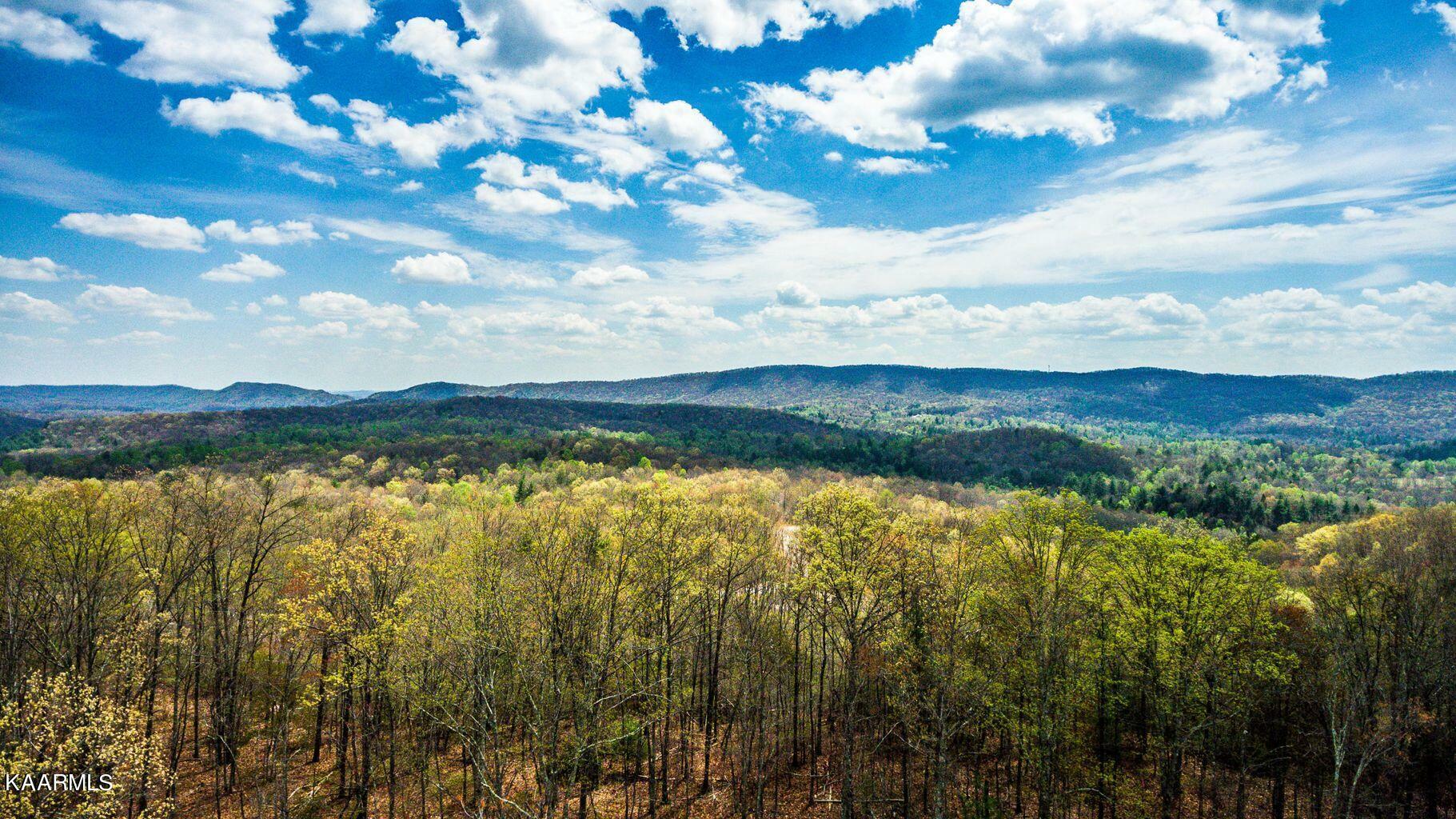 313 Country Wood Place (Lot 26)  Harriman TN 37748 photo