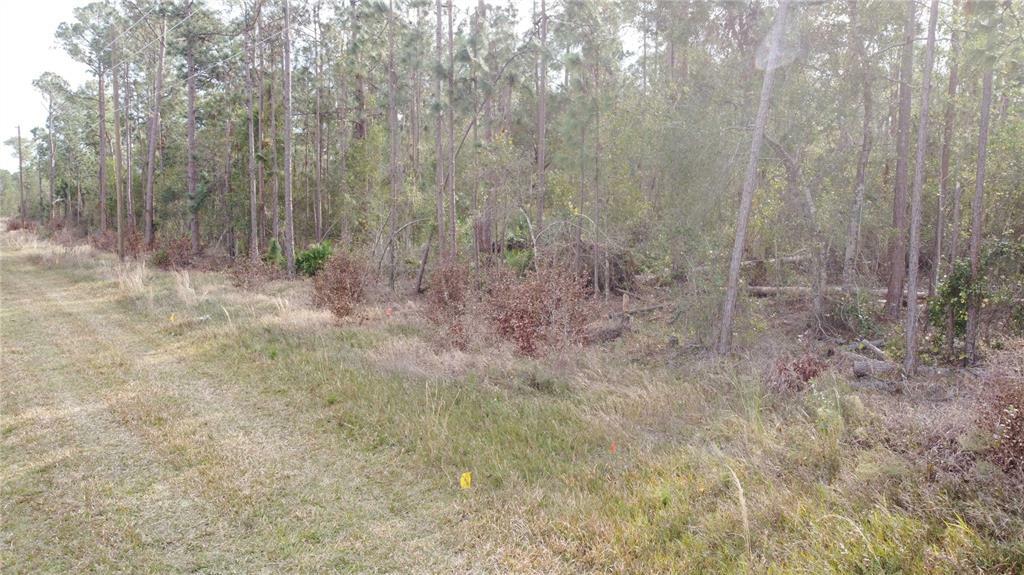 Property Photo:  0 US Hwy 27  FL 33843 