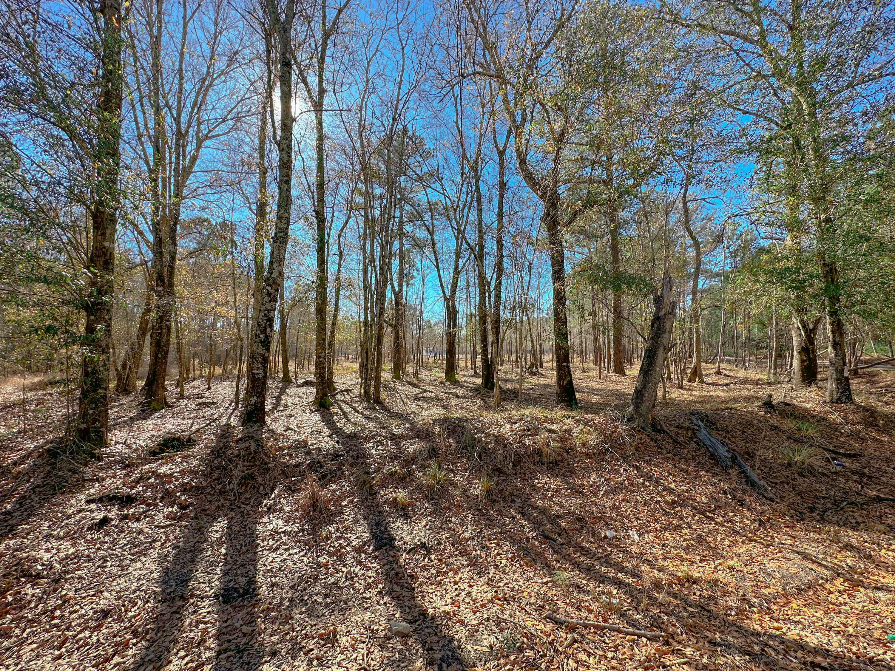Property Photo: 160 Wisteria Falls Trail SC 29479