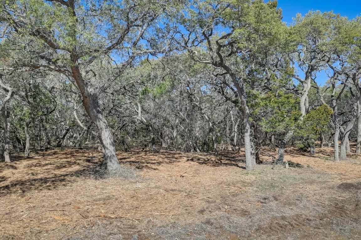 Property Photo:  0 Vaquero Way  TX 78676 