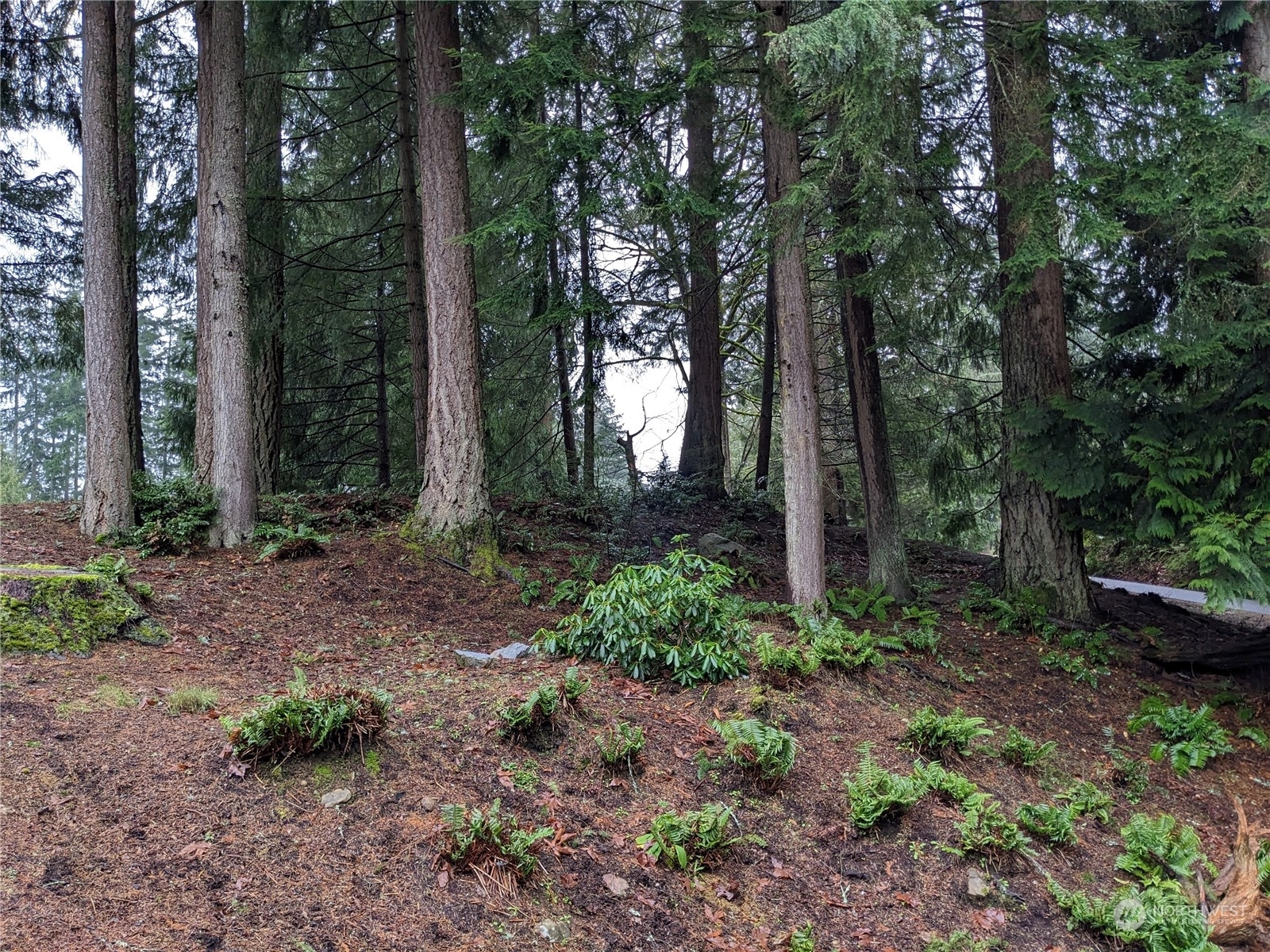 Property Photo: 34 Fairway Lane WA 98229