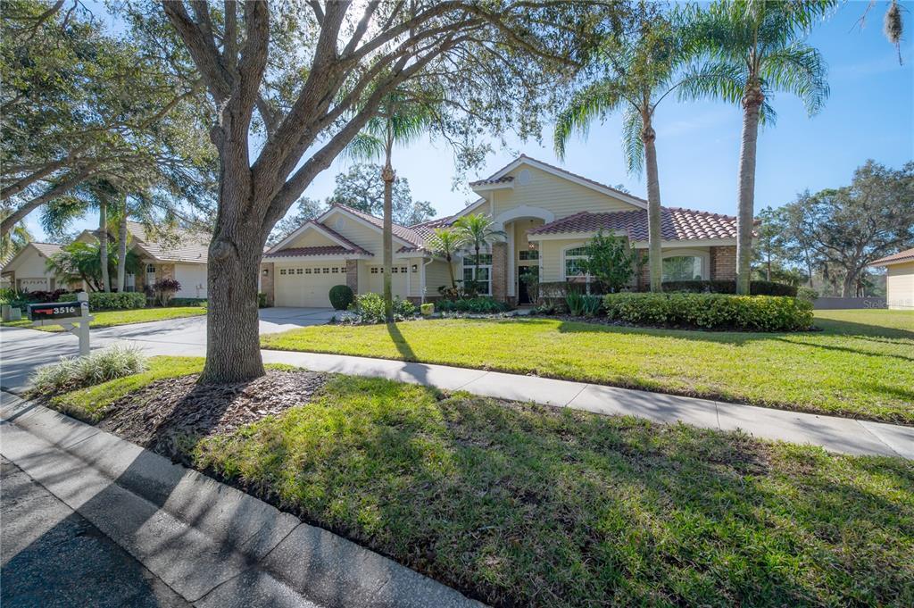 Property Photo:  3516 Woodridge Place  FL 34684 
