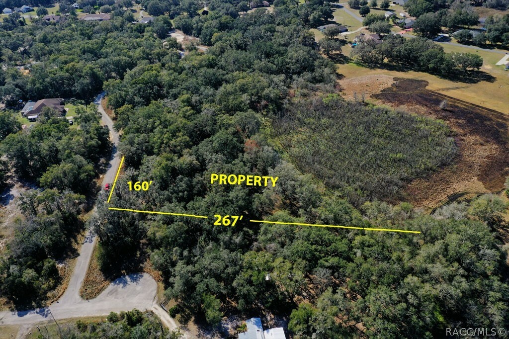 Property Photo:  4240 S Kenvera Loop  FL 34450 