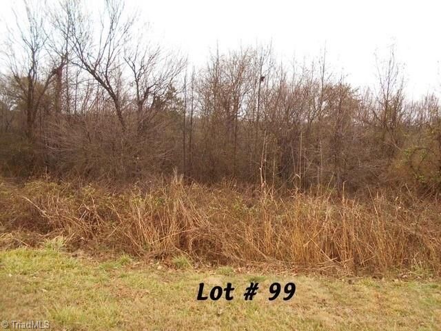#99 River Chase Drive  Eden NC 27288 photo