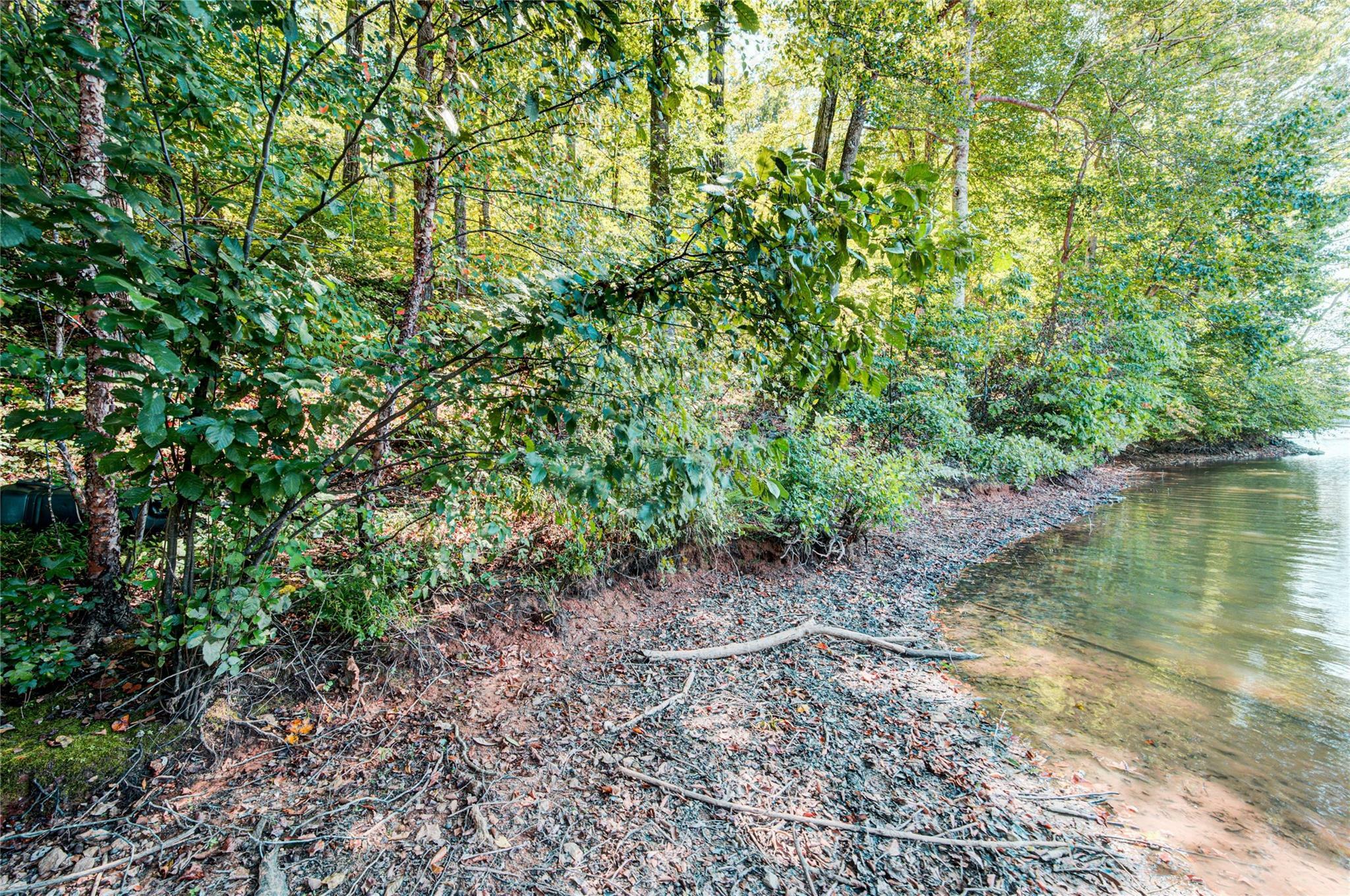 Property Photo:  0 Carriage Road  NC 28677 