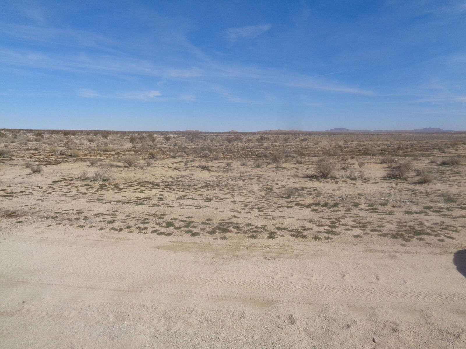 Property Photo:  210 Ste E Ave. E8  CA 93535 