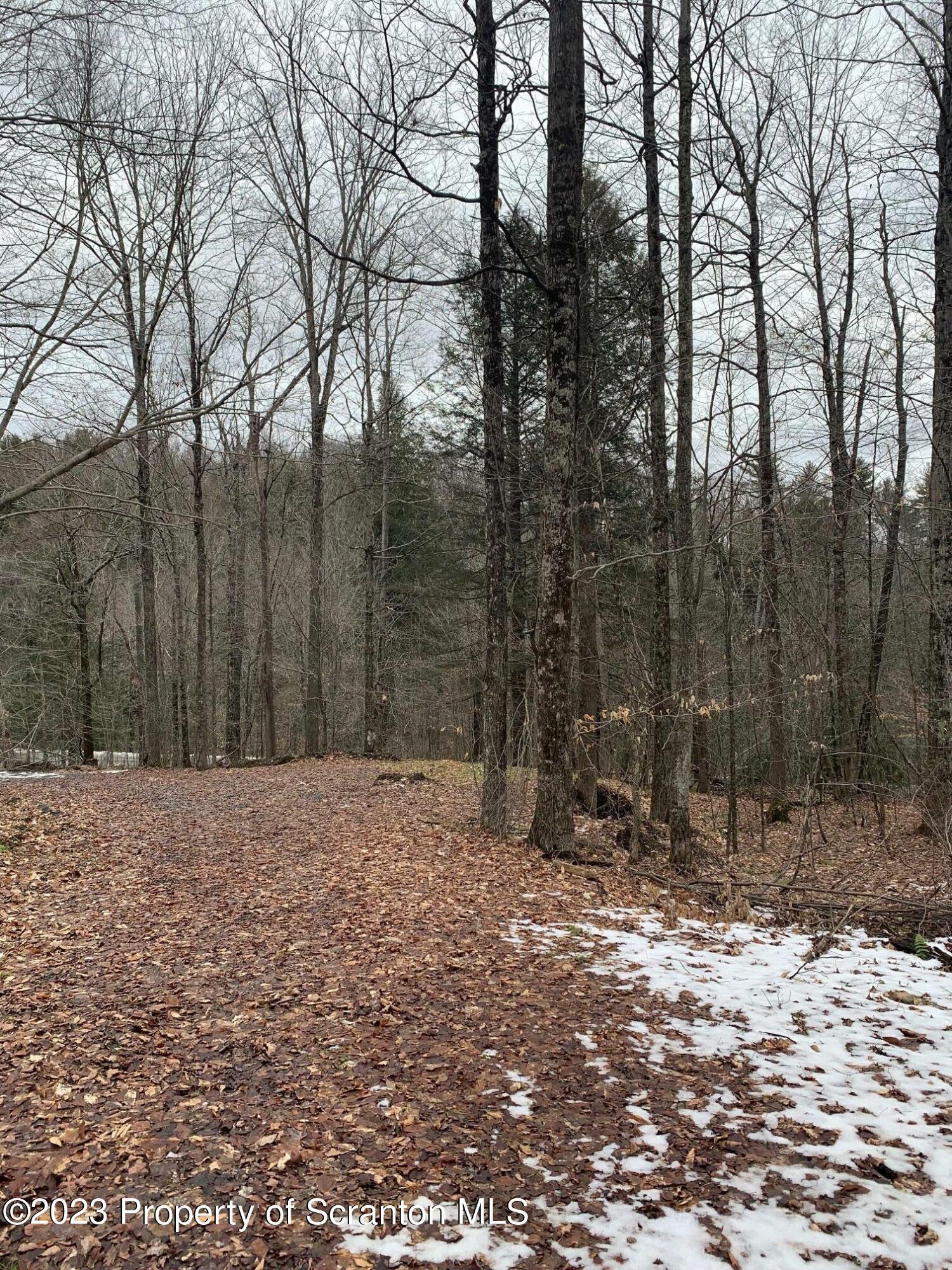 Property Photo:  0 Stewart Road  PA 18801 