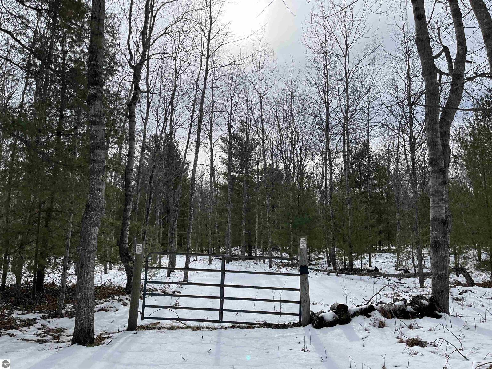 Property Photo:  V/L Kolarvic Road  MI 49663 