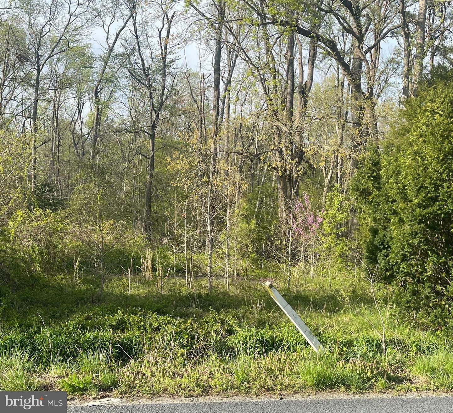 Property Photo:  26302 Sennett Road  MD 21629 