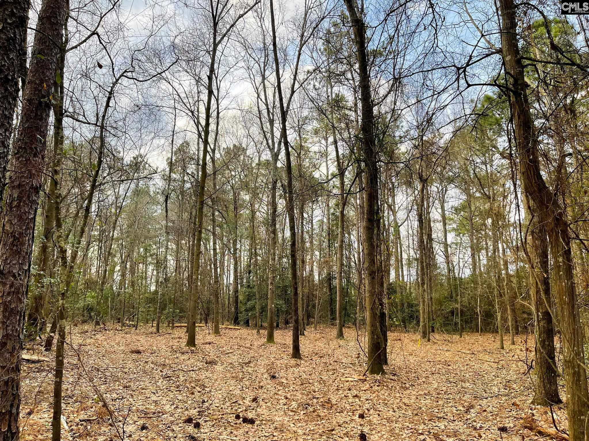 Property Photo:  6777 Fairview Lot 9  SC 29006 