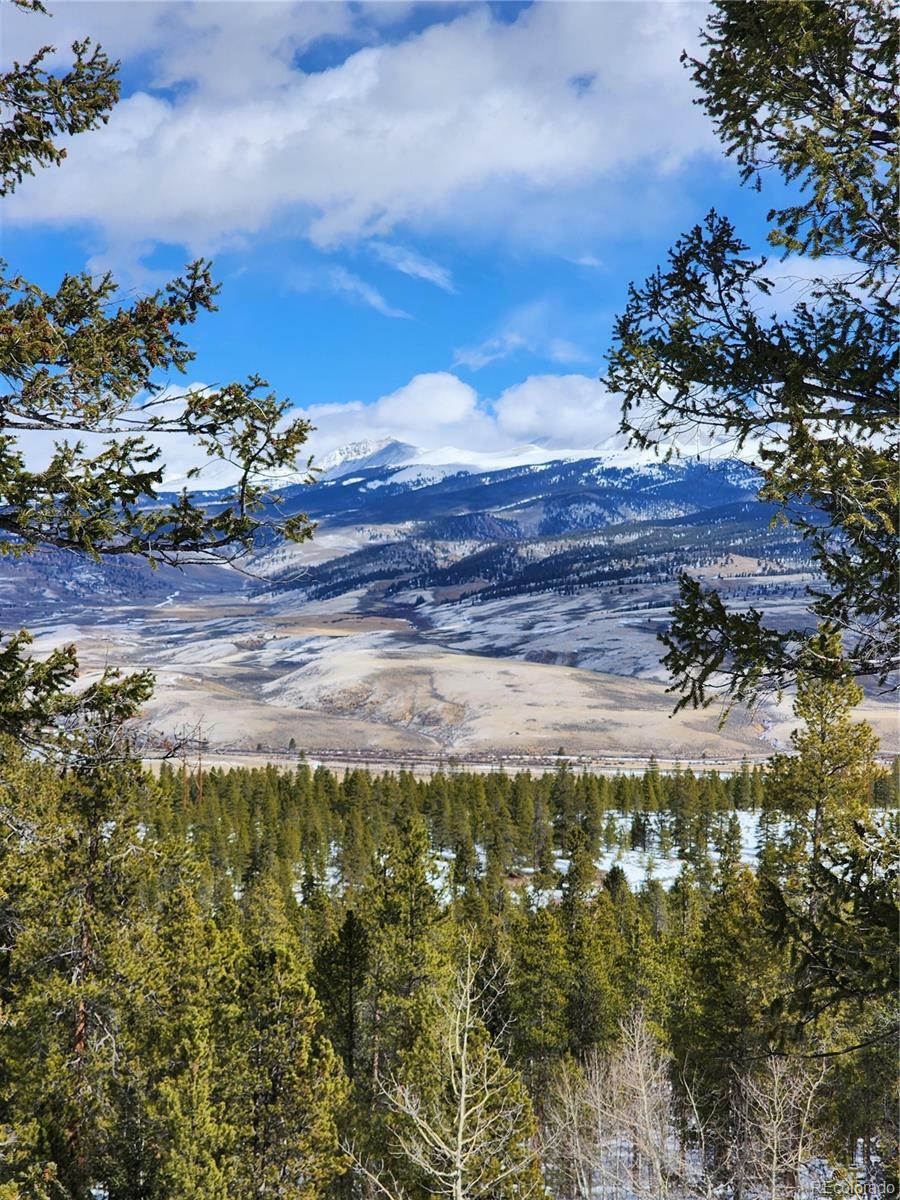 Property Photo:  388 Mt Elbert Drive  CO 81251 