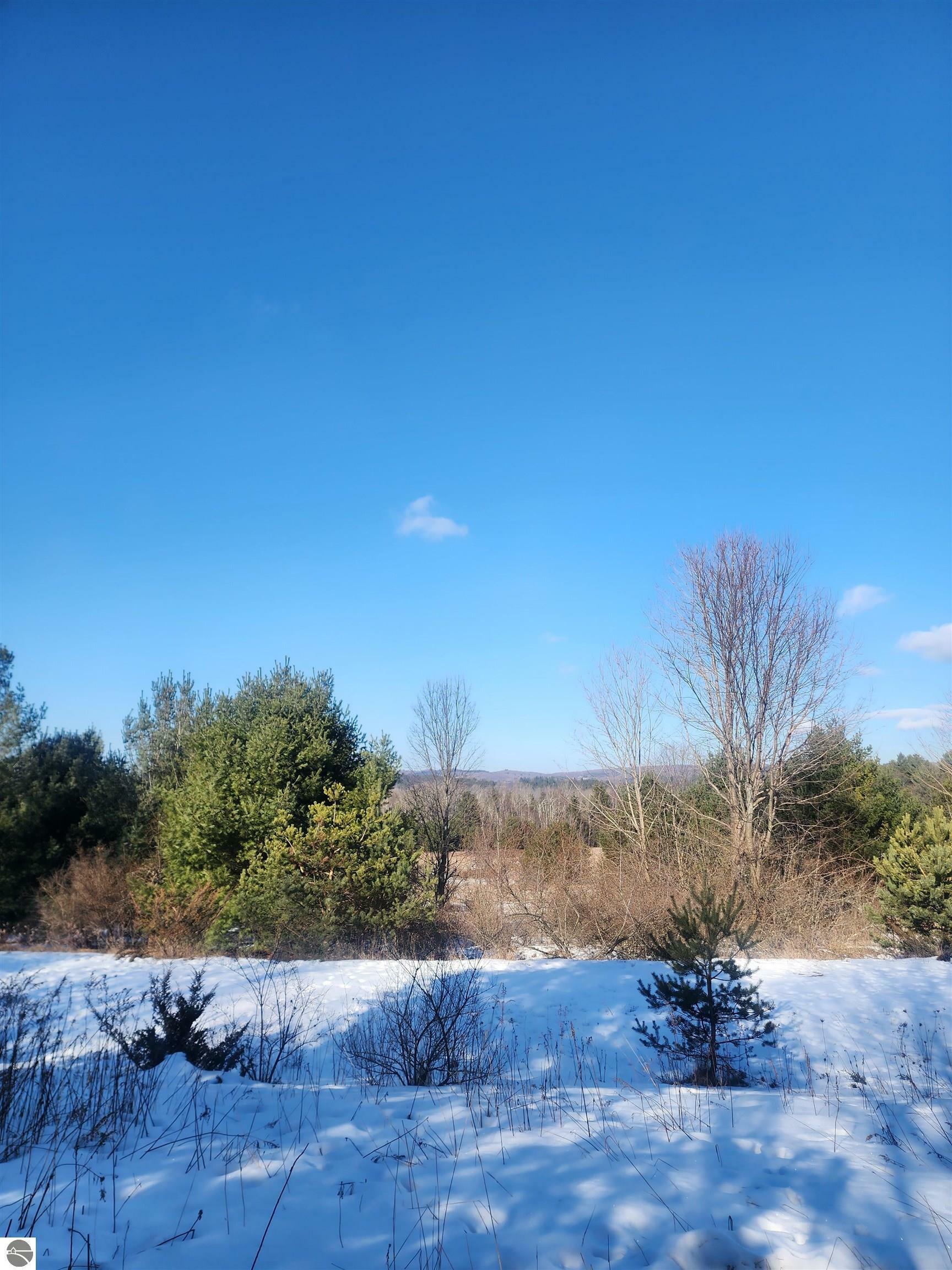 Property Photo: 00 Laurel Lane MI 49635